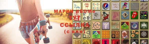 прущие грибы Богородск