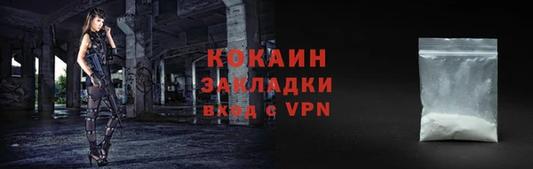 прущие грибы Богородск