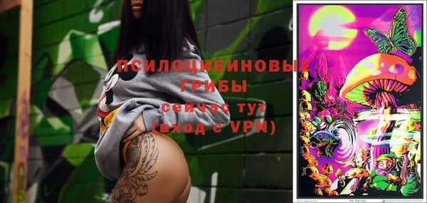 стафф Богородицк