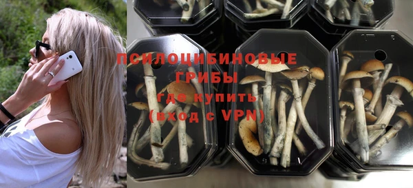 прущие грибы Богородск