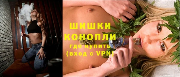 прущие грибы Богородск