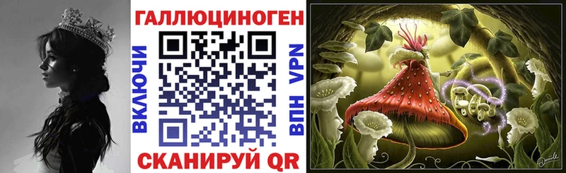 Галлюциногенные грибы мицелий  Купить где  Ясный 